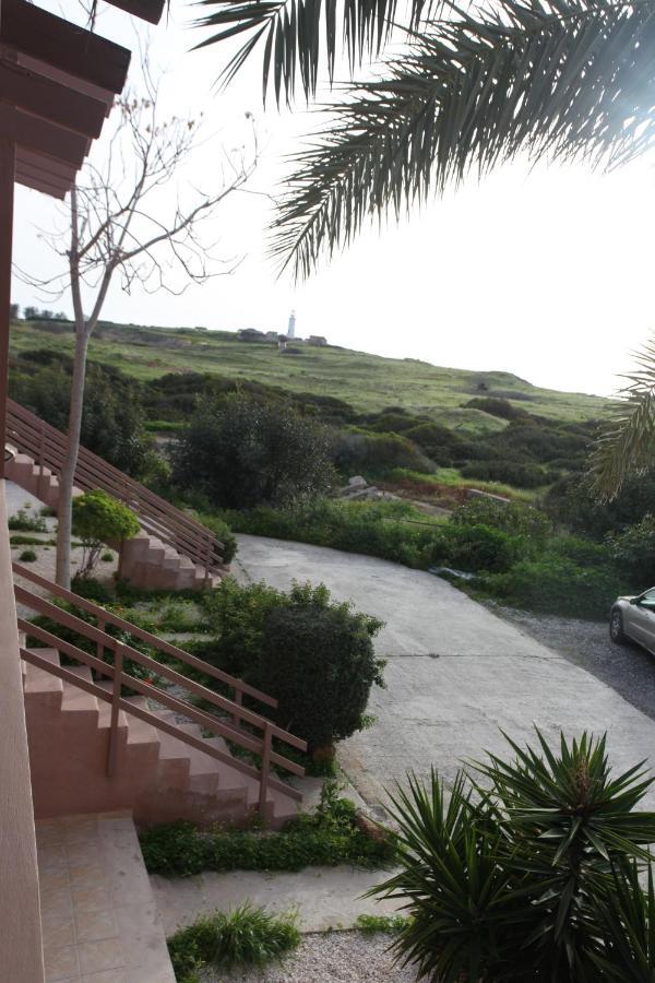 Ariadne Apt 103 -300M From Lighthouse Beach Pafos Zewnętrze zdjęcie